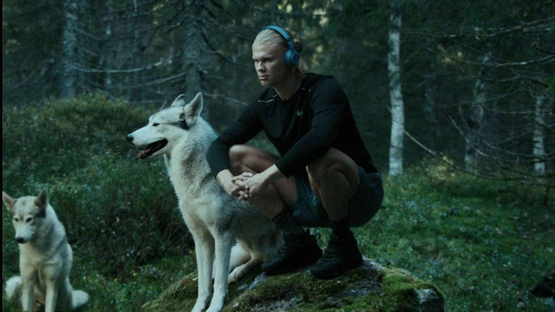 所有這些都 所有這些都