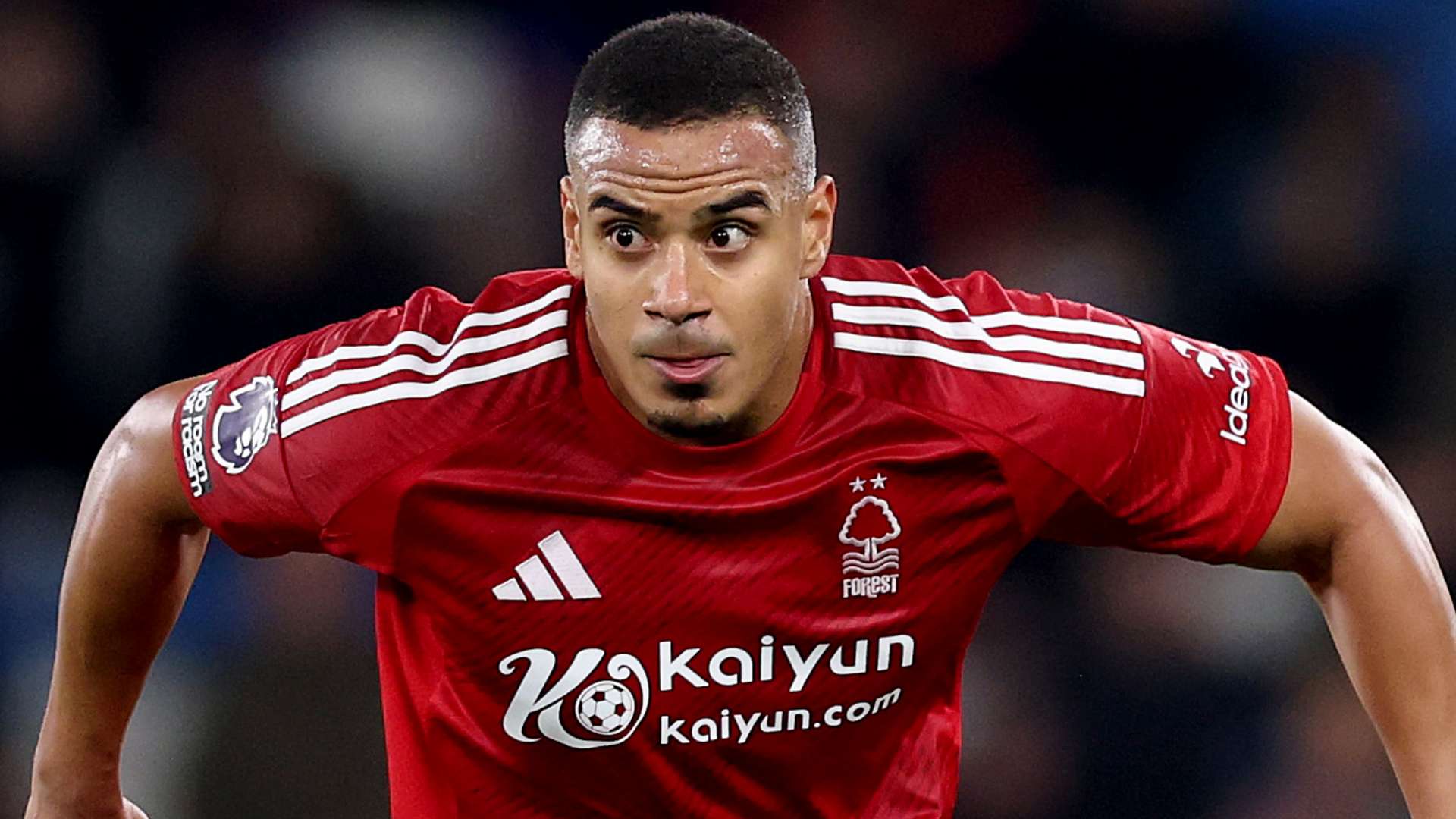 僅對奧多伊 僅對奧多伊