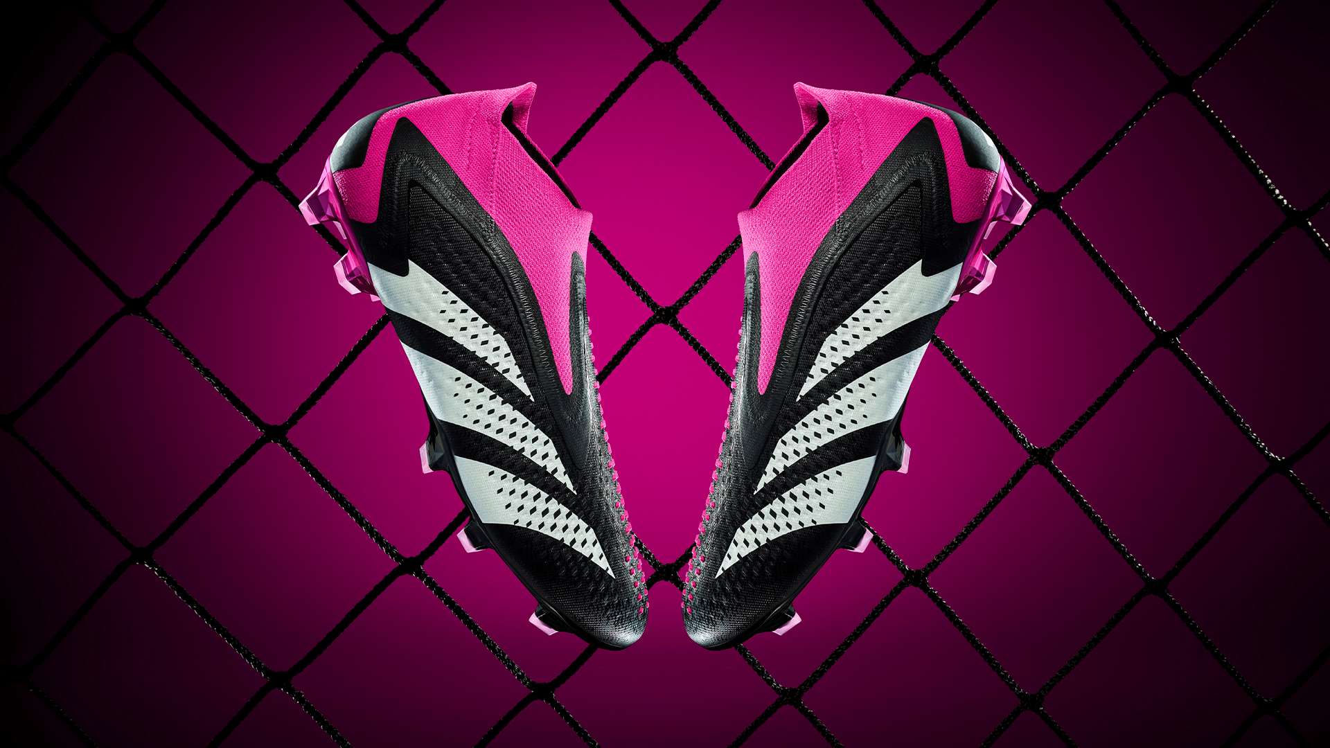 星永遠不會 星永遠不會