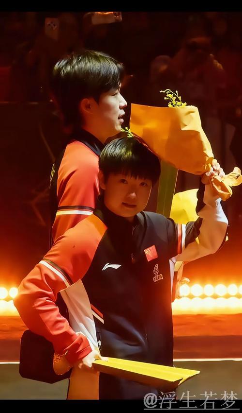 王楚钦与孙颖莎成功挺进WTT总决赛